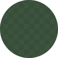 Checkered green and dark green circle