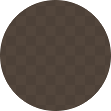 Checkered brown and dark brown circle